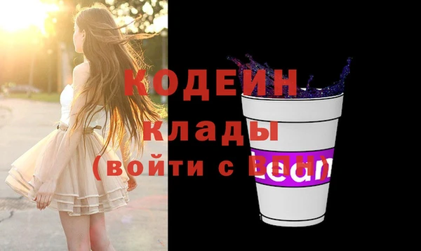 Альфа ПВП Елизово
