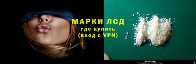 Альфа ПВП Елизово