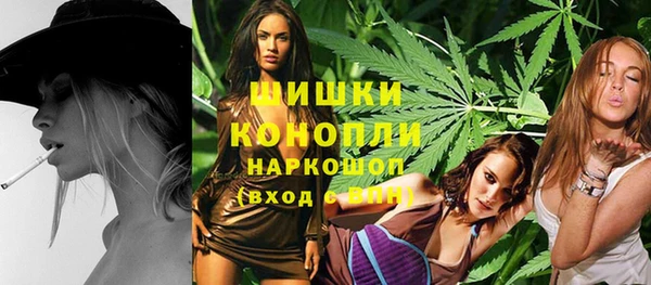 Альфа ПВП Елизово