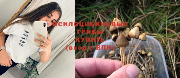 MDMA Premium VHQ Ельня