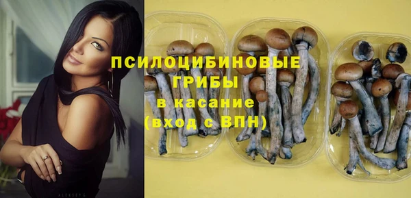 ПСИЛОЦИБИНОВЫЕ ГРИБЫ Елабуга