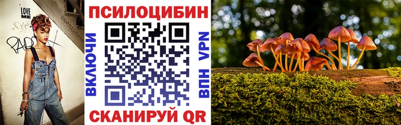 Псилоцибиновые грибы прущие грибы Новокубанск