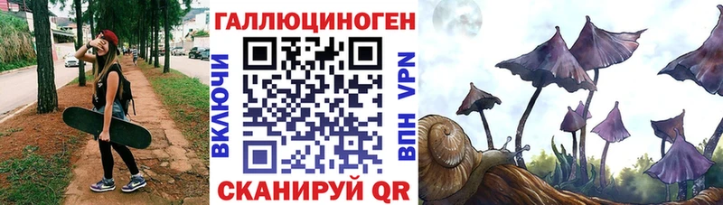 Галлюциногенные грибы ЛСД  Купить закладки  Новокубанск 